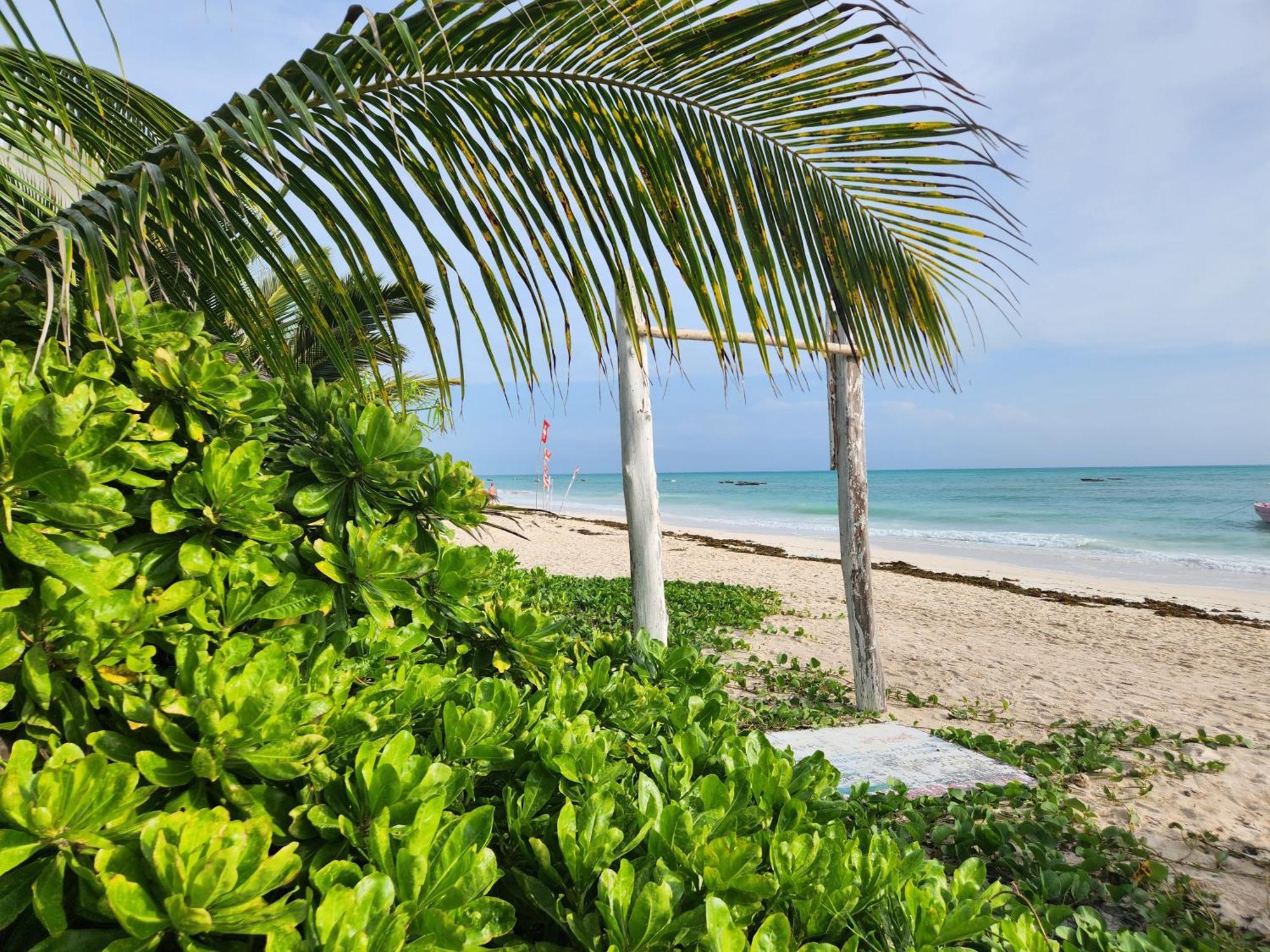Two Palms Jambiani (Zanzibar) Exterior foto